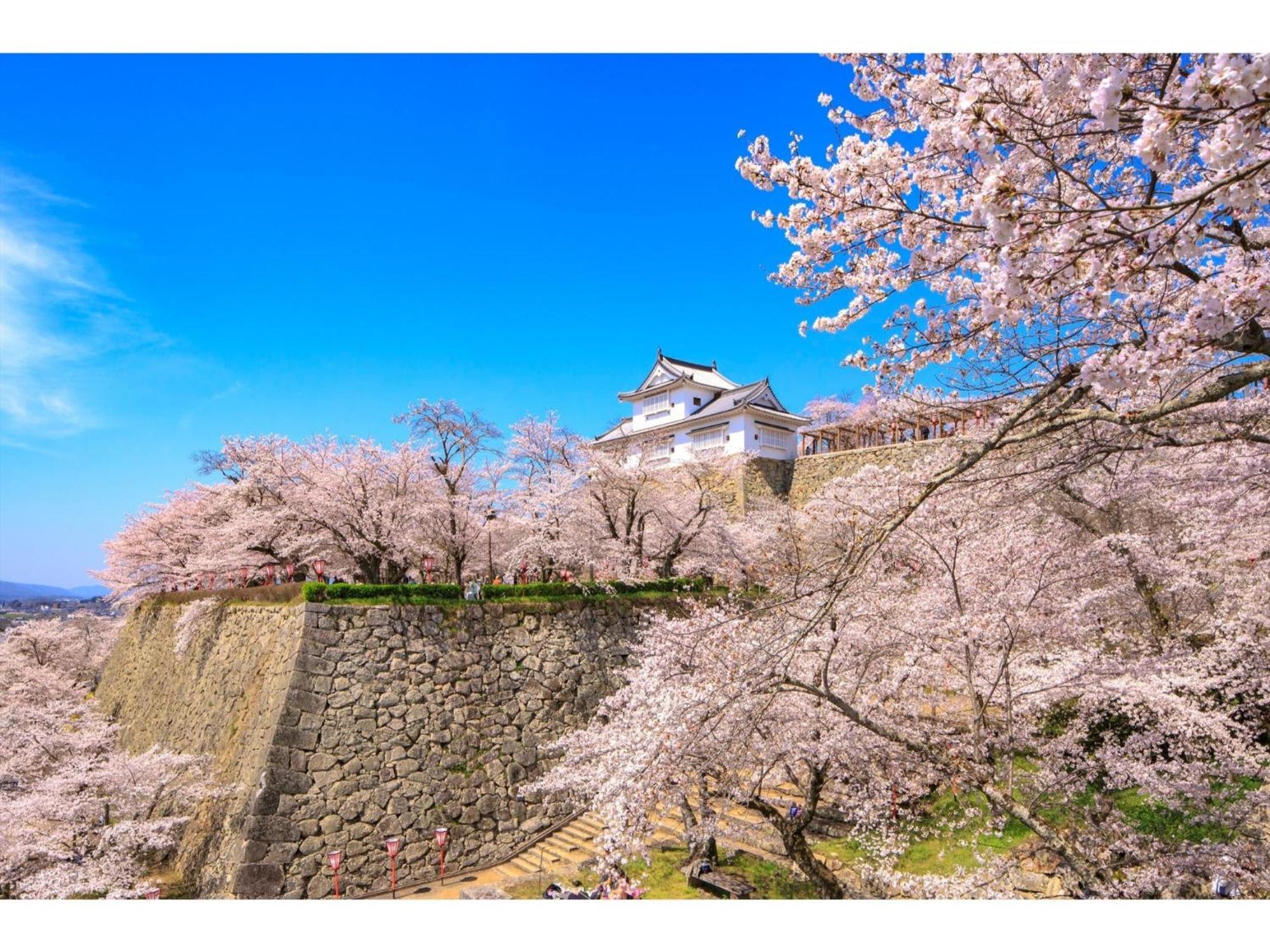 Tsuyama Kakuzan Hotel - Vacation Stay 75701V Экстерьер фото
